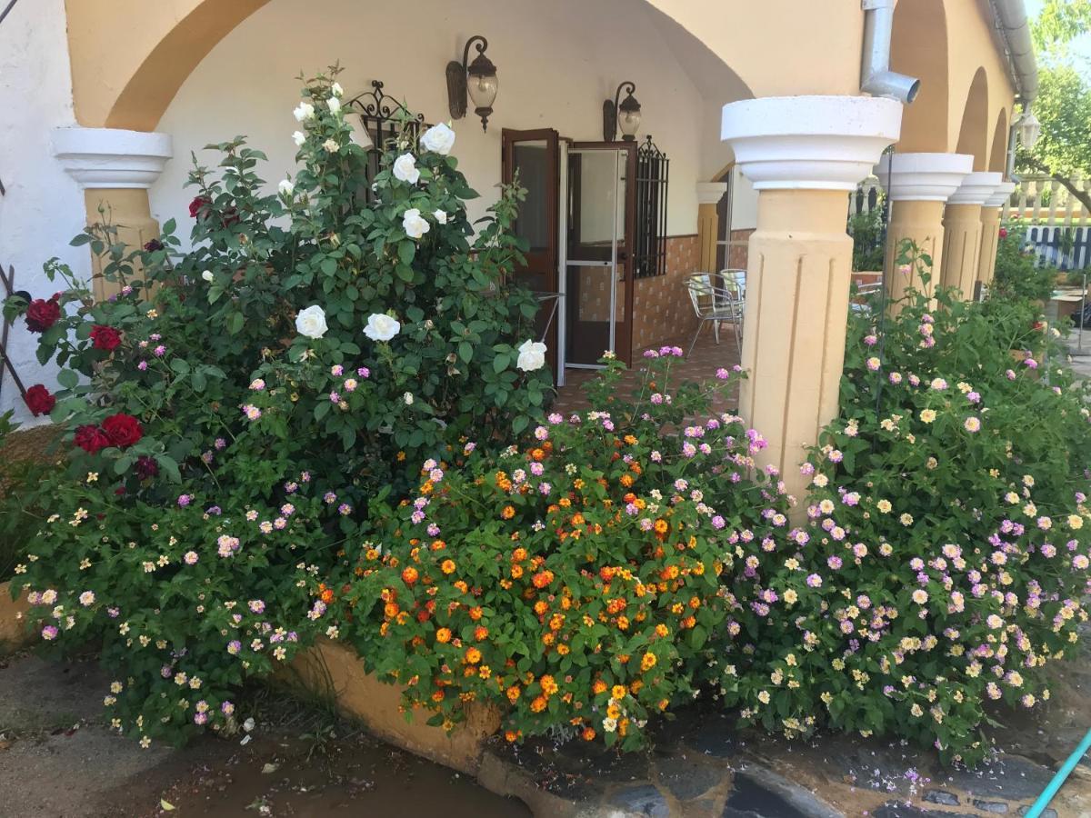 Finca La Rosalia Setenil De Las Bodegas Exterior photo
